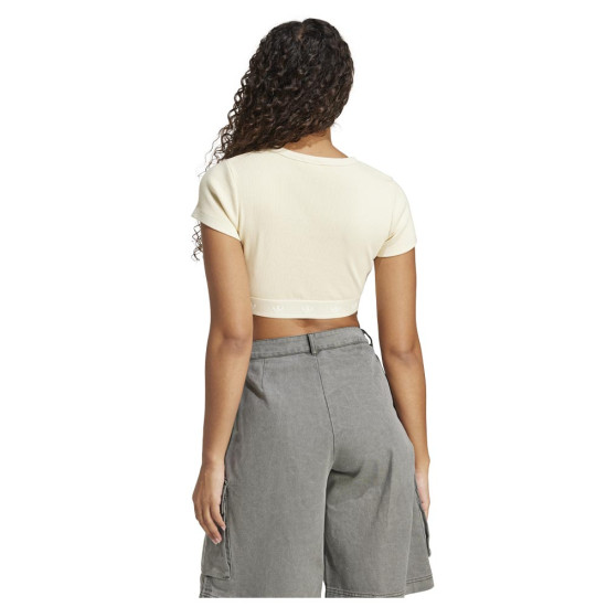 RIB SS TOP